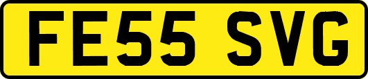 FE55SVG