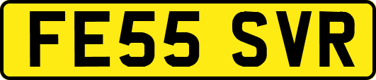 FE55SVR