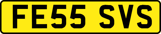 FE55SVS