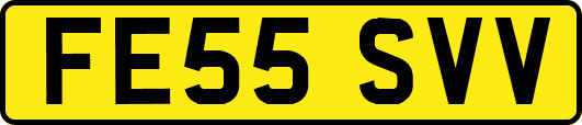 FE55SVV