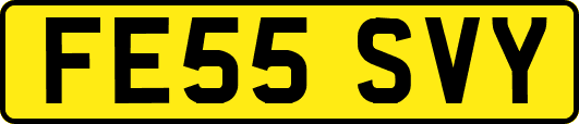 FE55SVY