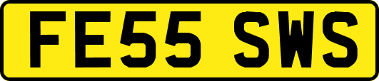 FE55SWS