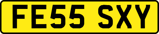 FE55SXY
