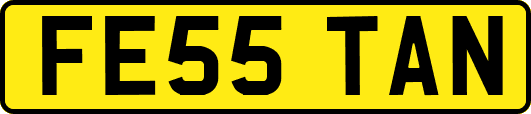 FE55TAN