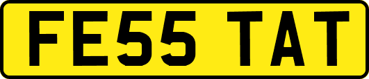 FE55TAT
