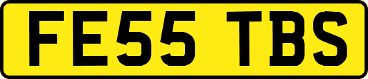 FE55TBS