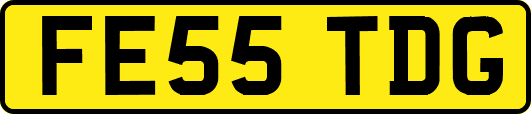 FE55TDG