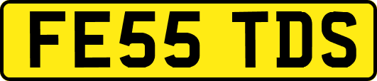 FE55TDS