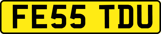 FE55TDU