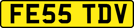FE55TDV