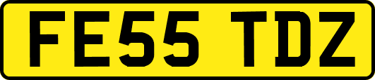 FE55TDZ