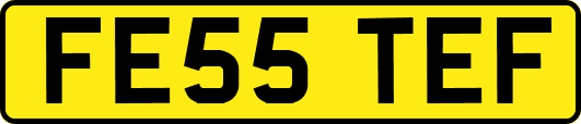 FE55TEF