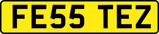 FE55TEZ