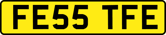 FE55TFE