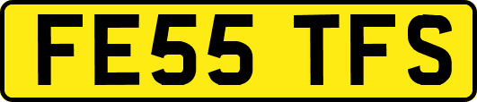 FE55TFS