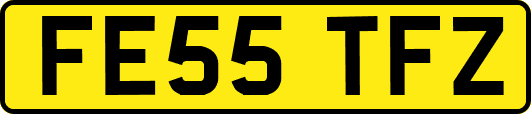 FE55TFZ