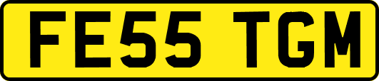 FE55TGM