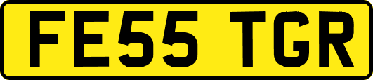 FE55TGR