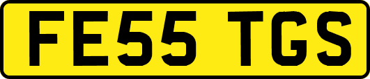 FE55TGS