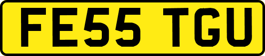 FE55TGU