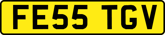 FE55TGV