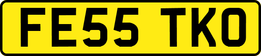 FE55TKO