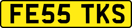 FE55TKS