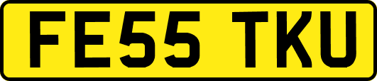 FE55TKU