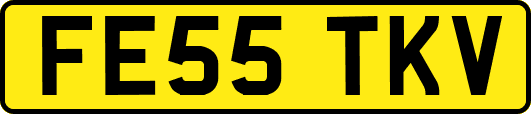 FE55TKV