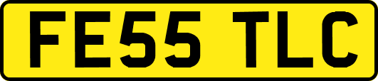FE55TLC