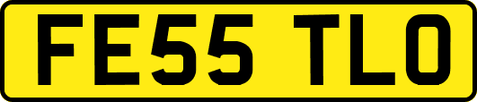 FE55TLO