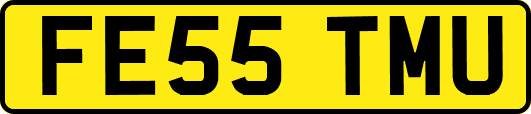 FE55TMU