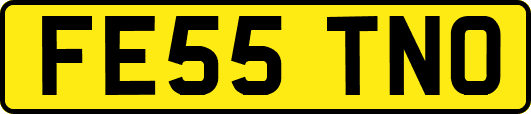 FE55TNO