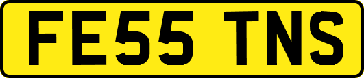 FE55TNS