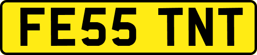 FE55TNT