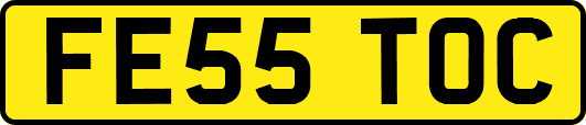 FE55TOC