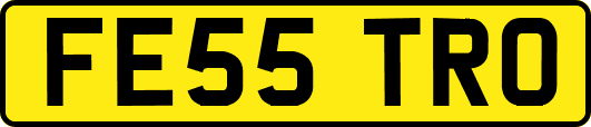 FE55TRO