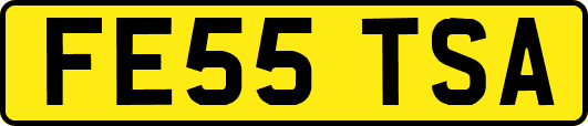 FE55TSA