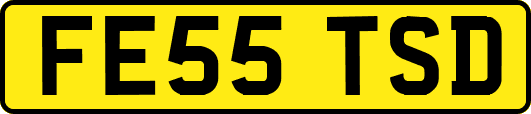 FE55TSD