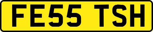 FE55TSH