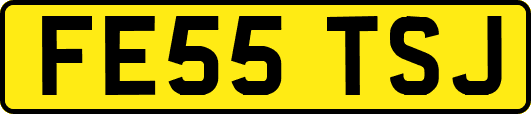 FE55TSJ