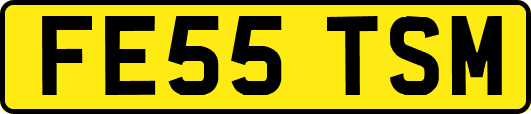 FE55TSM