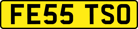 FE55TSO