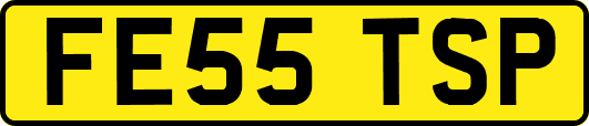 FE55TSP