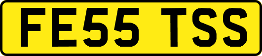 FE55TSS
