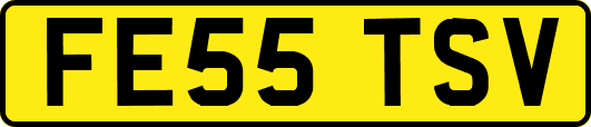 FE55TSV