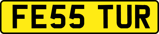 FE55TUR