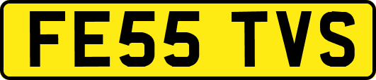 FE55TVS