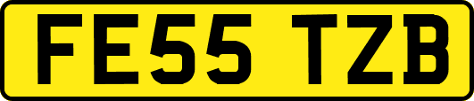 FE55TZB