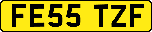 FE55TZF